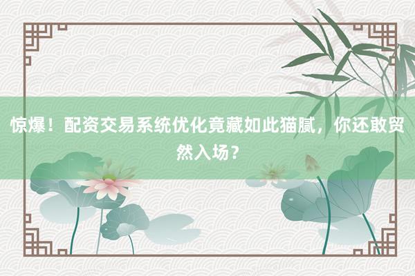 惊爆！配资交易系统优化竟藏如此猫腻，你还敢贸然入场？
