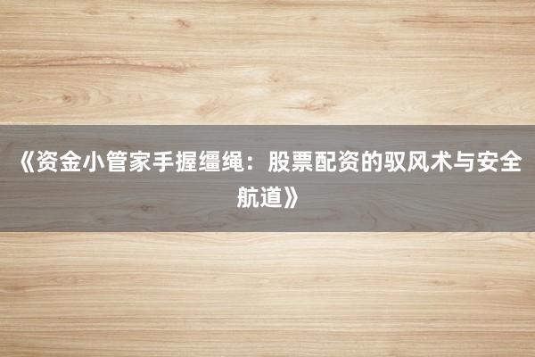 《资金小管家手握缰绳：股票配资的驭风术与安全航道》